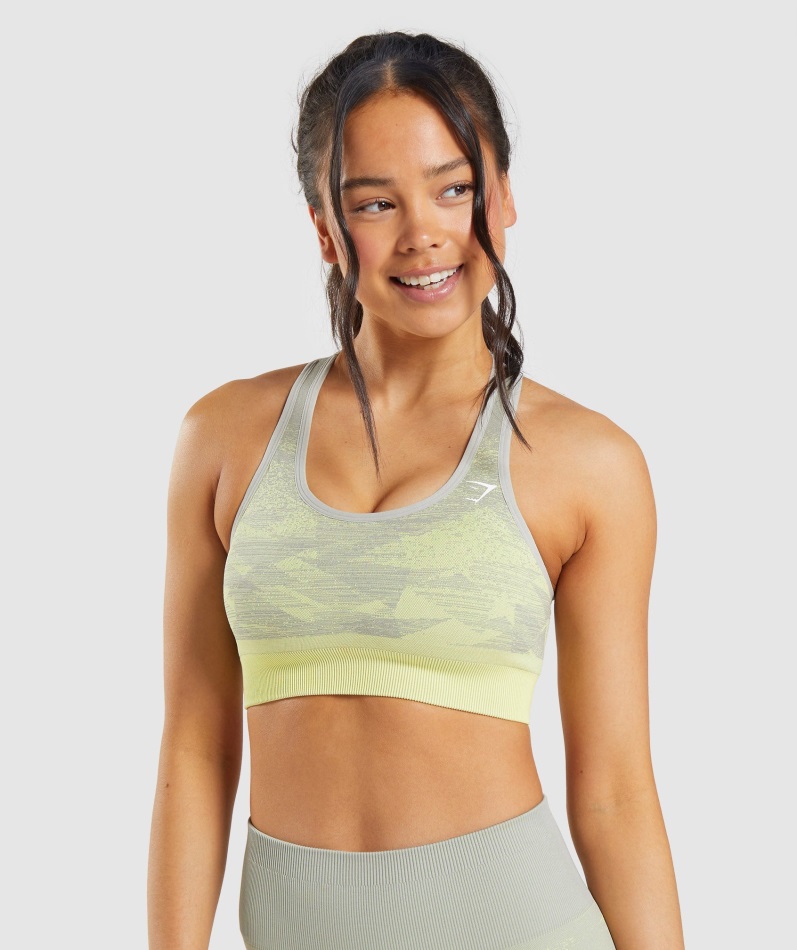Gymshark Triangle-Taupe Grey Adapt Ombre Seamless Sports Bra
